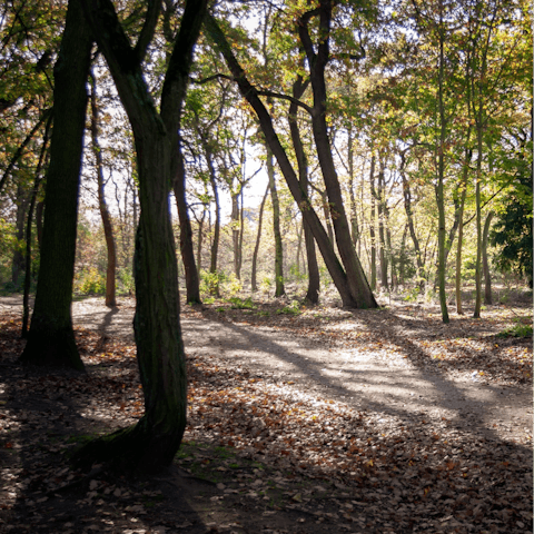 Enjoy an energising walk in nearby Bois de Boulogne