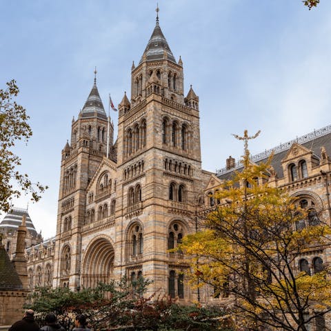 Make the most of your South Kensington base – will you visit the V&A or the Natural History Museum first?