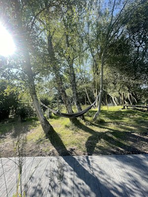 The Wildwood Retreat image 2