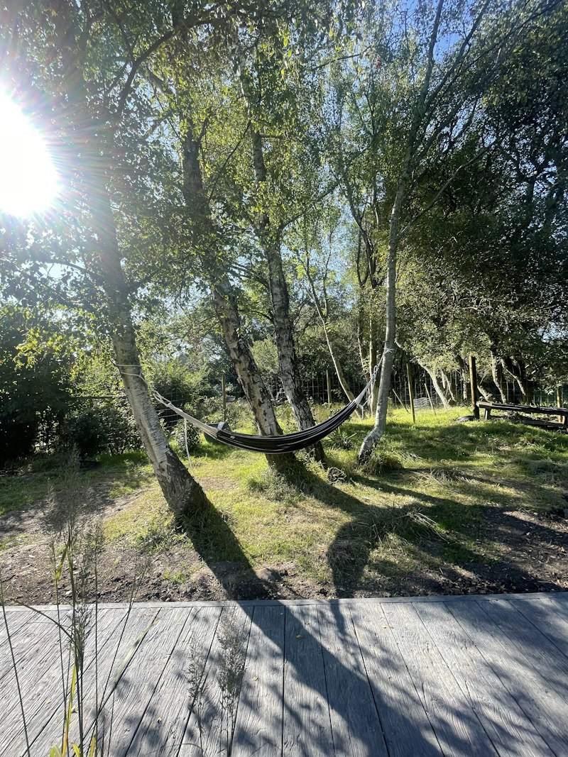 The Wildwood Retreat additional image
