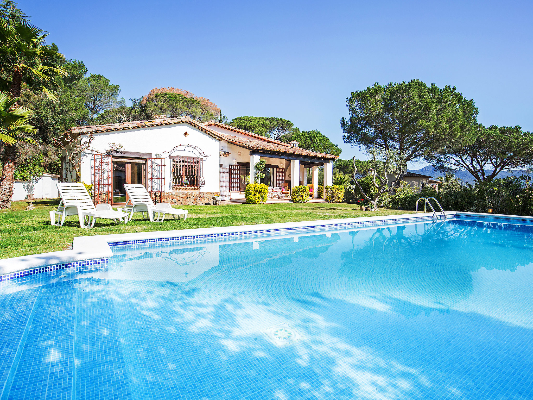 A Tall Blade Of Grass, Girona, Spain Plum Guide