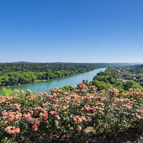 Experience the joy and wonder of life by Lake Austin