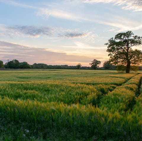 Experience the beauty of the English countryside from Oxfordshire