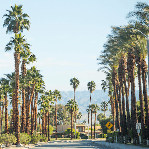 Enjoy your proximity to Palm Canyon Drive –⁠ just a ten-minute drive away