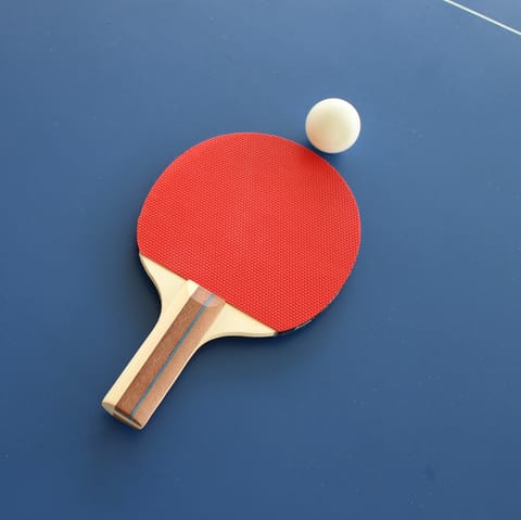 Get competitive on the ping pong table