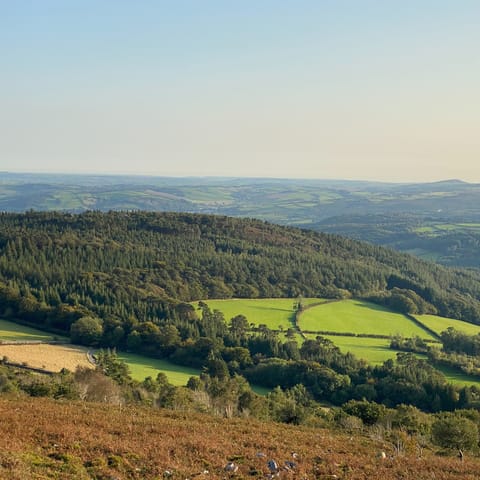 Visit the breathtaking Dartmoor National Park, an hour's drive away