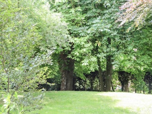 The Elm & the Vine image 11