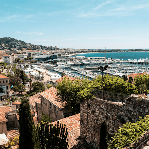 Immerse yourself in the glamorous heart of Cannes