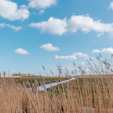 Explore the beautiful Norfolk countryside from this rural location