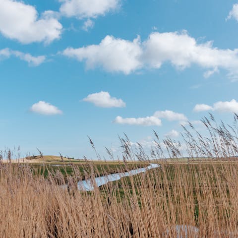 Explore the beautiful Norfolk countryside from this rural location