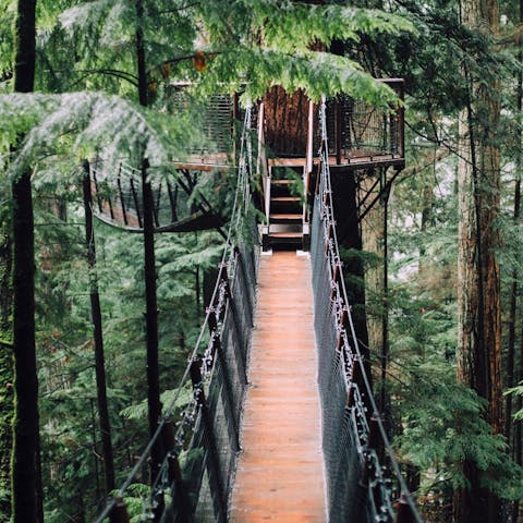 Let your children explore the treehouse playpark on this large private estate