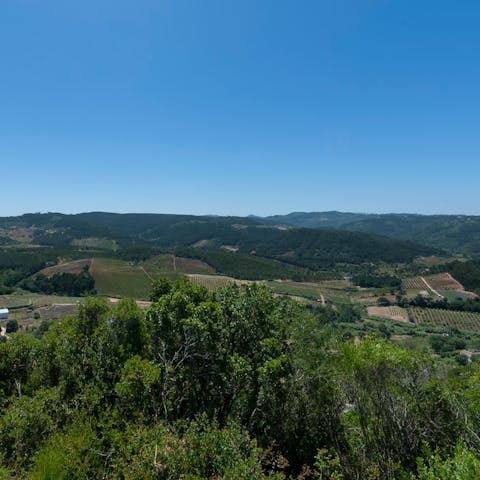 Explore rural Mafra – your home is on the edge of the village of Sobral da Abelheira, a fifty-minute drive from Lisbon