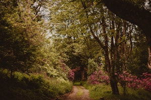 The Horticulturalist image 15