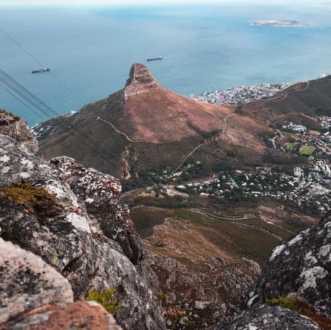 Climb or catch the cable car up Cape Town's Table Mountain, another highlight of the region