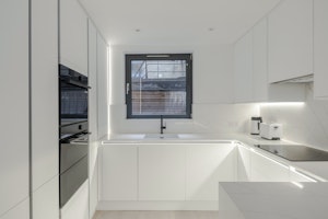 Fitzrovia's Heartbeat image 14