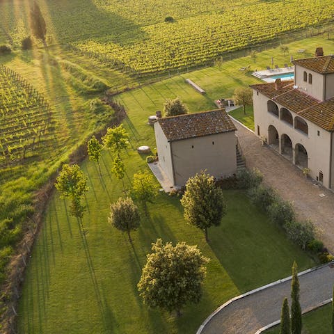 Take a stroll through the 10,000 square metres of lawns and olive groves
