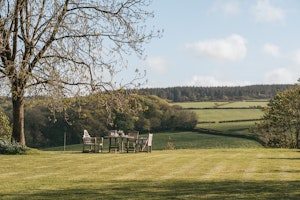 The Ash Tree image 3