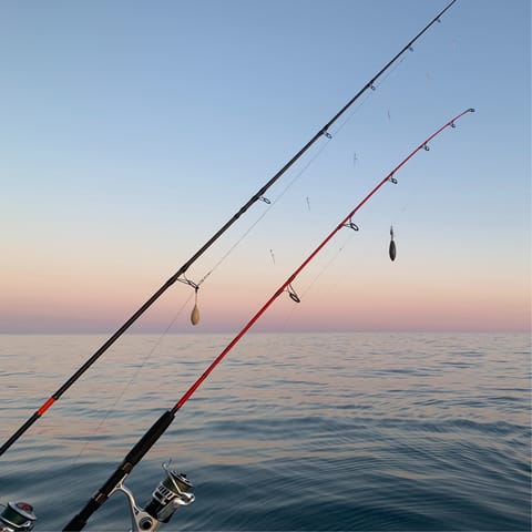 Arrange for guided fishing trips and equipment from the friendly hosts