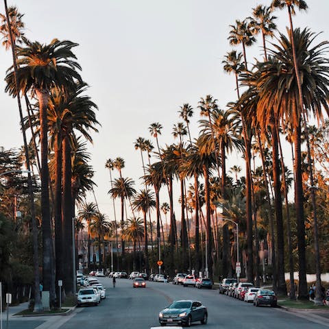 Browse the shops in luxurious Beverly Hills, just a fifteen–minute drive away