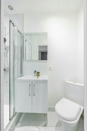 Monceau Rose image 6