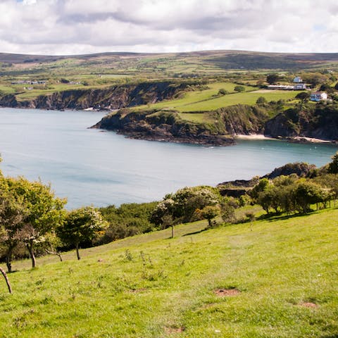Explore the stunning Pembrokeshire coastline and countryside