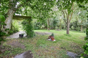 Norfolk Field Views image 8