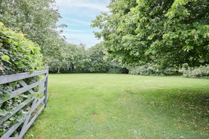 Norfolk Field Views image 3