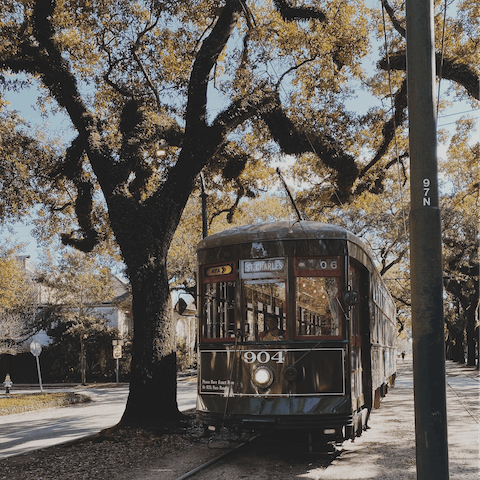 Take the streetcar from Saint Charles and Girod to the French Quarter