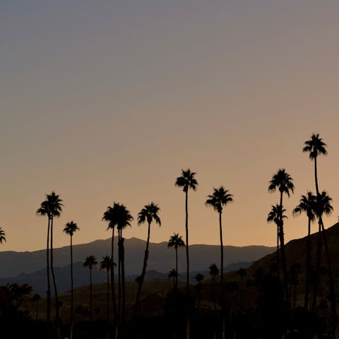 Enjoy incredible views of the old Palm Springs Canyons