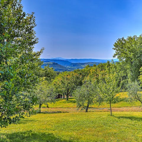 Take in views of Umbria's rolling hills while walking around the home's grounds
