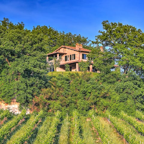 Wander round the vineyards that surround the home