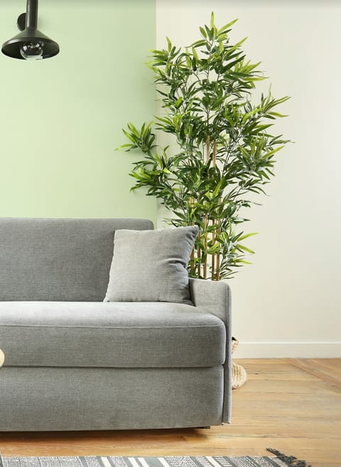 Relax on the sofa beside the luscious bamboo shoots in the living room 