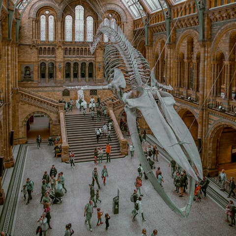 Walk just along the road to the Natural History Museum