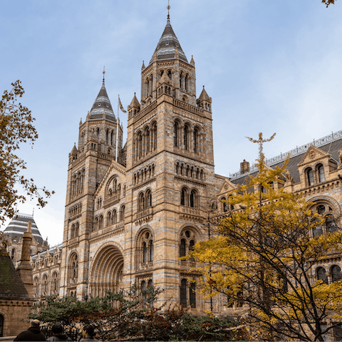 Visit The Natural History Museum, a ten-minute walk away