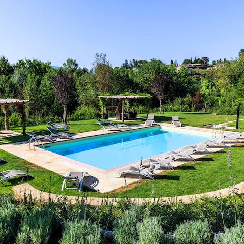 Relax in the shared swimming pool, surrounded by lush greenery