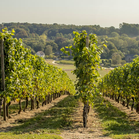 Make the most of your rural location and visit local wineries