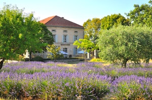 Provence Pleasure image 9