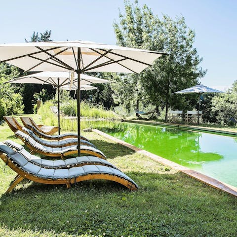 Lie back by the communal organic pool and soak up the sun