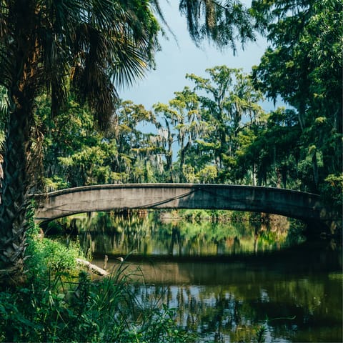Make your way to City Park, a fifteen-minute walk away, and gawk at the mystical beauty of New Orleans' oasis in the city