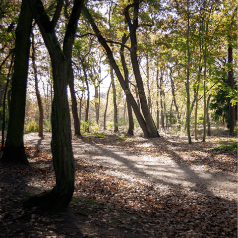 Spend a day exploring nearby Bois de Boulogne – it feels miles from the bustle of Paris