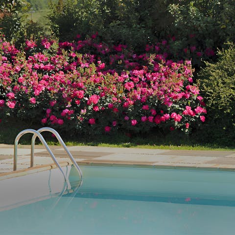 Swim in the private pool in the pretty gardens