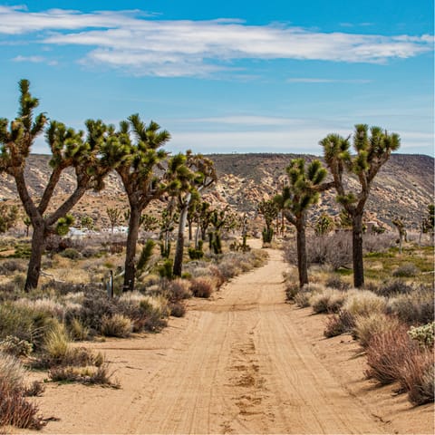 Go for a hike in Joshua Tree National Park, a short drive away