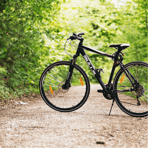 Take a bike ride along the picturesque Nar Valley Way