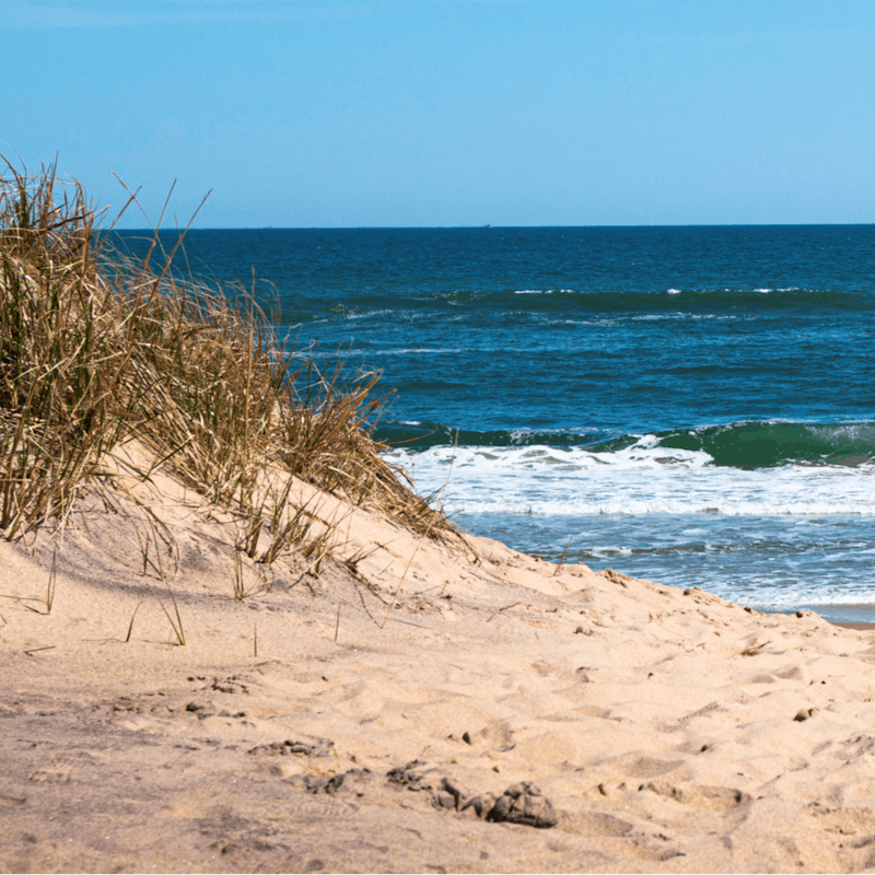 Cycle to nearby East Hampton Main Beach