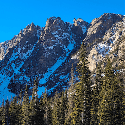 Embark on a hike along the Buffalo Mountain Trail, a ten-minute drive away