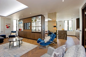 City Dove image 14