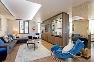 City Dove image 12