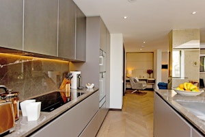 City Dove image 11