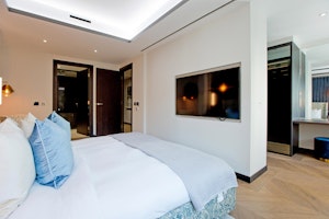 City Dove image 10
