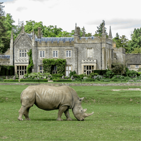 Spend an afternoon at Cotswold Wildlife Park & Gardens, a twenty-five-minute drive away